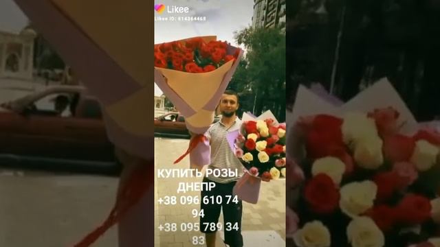 МЕТРОВЫЕ РОЗЫ ДНЕПР. ДОСТАВКА ЦВЕТОВ. КРАСНЫЕ МЕТРОВЫЕ РОЗЫ смотреть онлайн