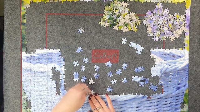 French Bulldog Puppies - 1000 Pieces Puzzle