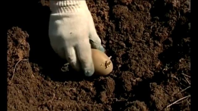 Делаем грядки правильно смотреть онлайн