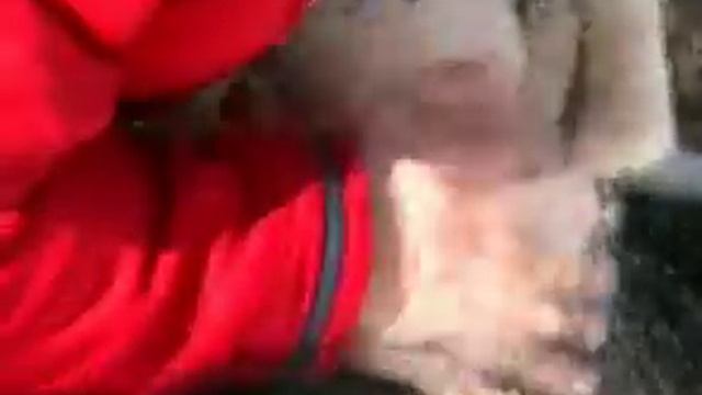 ЛИЦОМ В СНЕГ . Маленькая девочка провалилась и не смогла подняться смотреть онлайн