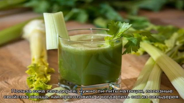 Чем полезен сельдереевый сок и как правильно его приготовить