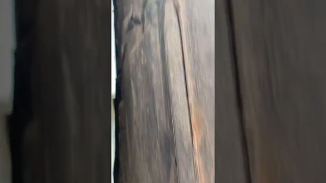 Бмв е39 2.9 дизель смотреть онлайн