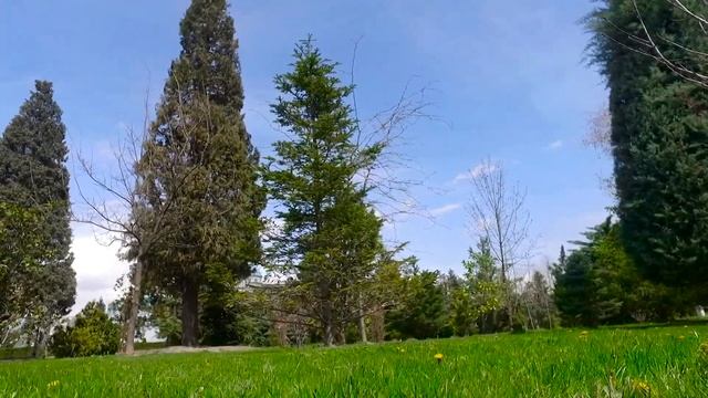 Лавхаи ГУЛХОИ Боги Рудаки нав 2017 смотреть онлайн