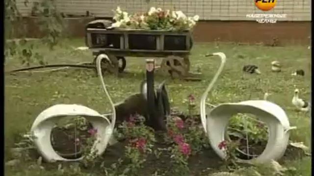 Цветущие конкурсанты смотреть онлайн