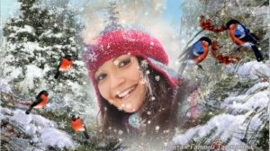 А щеки, словно снегири       Исп  Виктор Королев