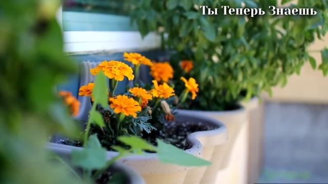 7 Предметов которые категорически нельзя класть на стол смотреть онлайн
