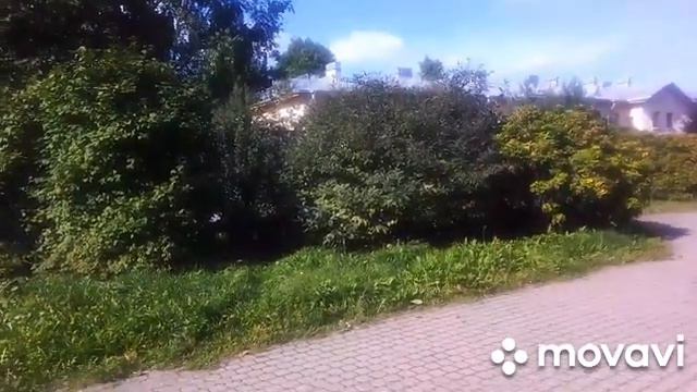 А в городе том сад, всё травы,да цветы...Палевский жилмассив.# мойрайонНевский# смотреть онлайн