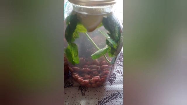 компот из крыжовник "Мохито" на зиму с мятой смотреть онлайн