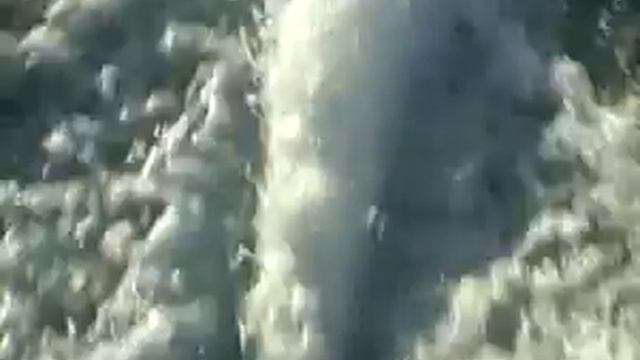 @Mail.Ru FOX FILM -- X- TV !.flv смотреть онлайн