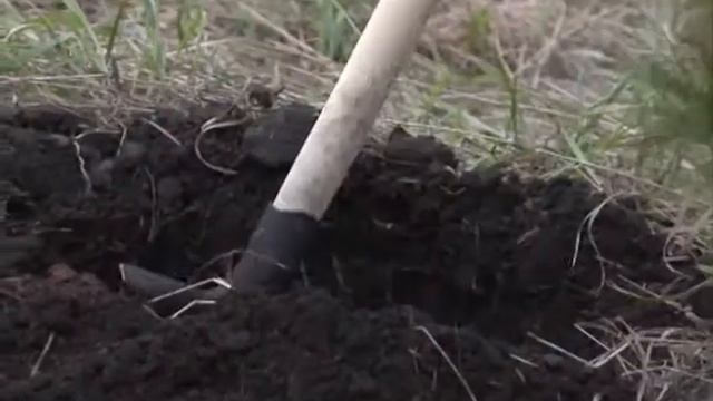 Юбилейные аллеи смотреть онлайн