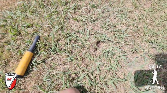 EQUINOX 900 Best Setup For Coins & Rings! Avoiding The Trash?