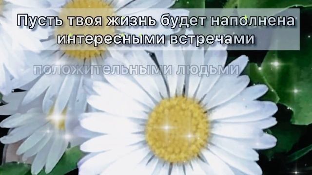С Днём рождения! Нежное и красивое поздравление с Днём рождения для женщины! смотреть онлайн