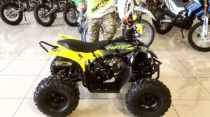 Обзор 2023 Квадроцикл Motoland 125 RAPTOR A