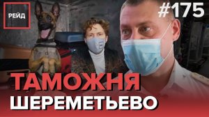 КАК РАБОТАЕТ ТАМОЖНЯ В АЭРОПОРТУ ШЕРЕМЕТЬЕВО | РАБОТА КИНОЛОГОВ | ДОСМОТР БАГАЖА - РЕЙД 175