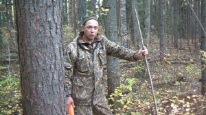 Охота на барсука с собаками 1 часть