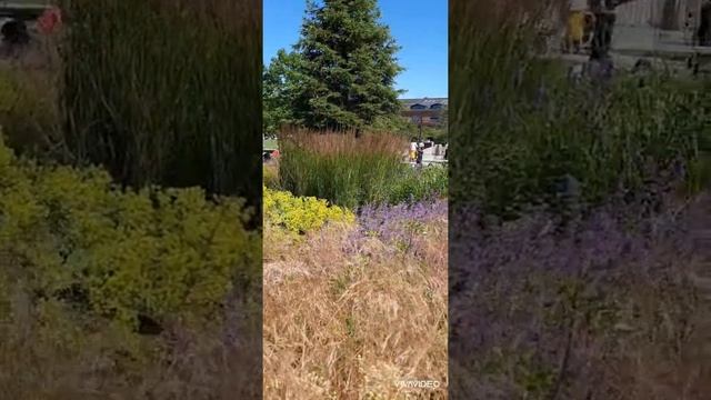 Новая Голландия в Санкт- Петербурге. смотреть онлайн