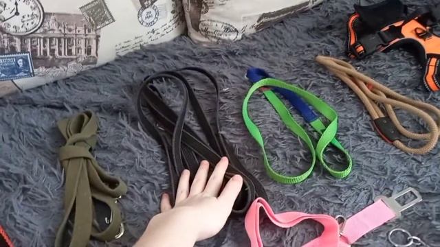 Обзор амуниции. Душу собаку удавкой? ? смотреть онлайн