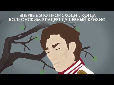 Почему Болконский смотрит на дуб? смотреть онлайн