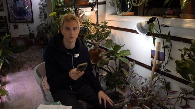 Great Grow Light Bulb for House Plants - Haus Bright Smart LED - Review смотреть онлайн