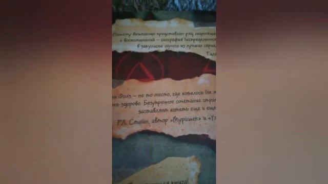 Обзор книги Гравити Фолз! смотреть онлайн