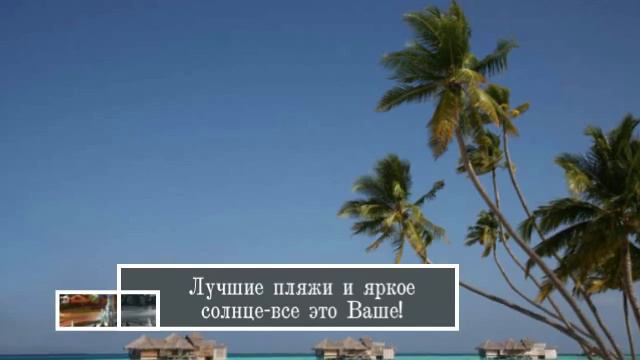 Туристическая фирма "Путеводная звезда" смотреть онлайн
