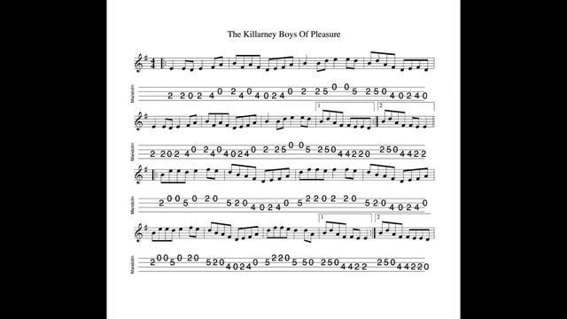 The Killarney Boys Of Pleasure REVISITED - a reel in E Minor tabbed and played by Aidan Crossey смотреть онлайн