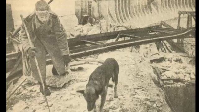 Легендарный пёс сапёр Джульбарс смотреть онлайн