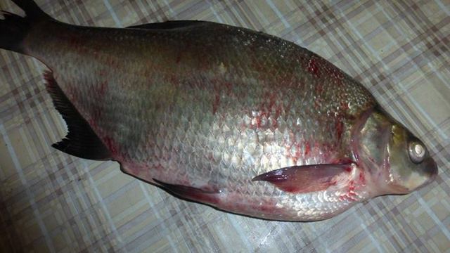 Рецепты от шеф-повара