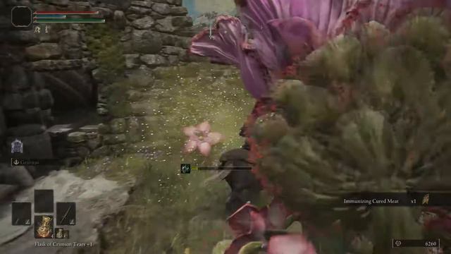 Unleashing Guts from Berserk in Elden Ring смотреть онлайн