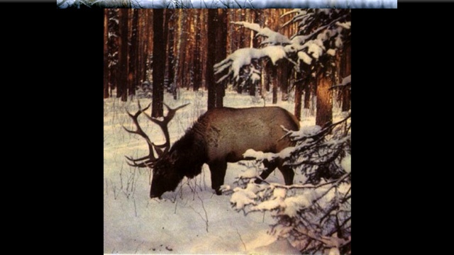 Зима смотреть онлайн