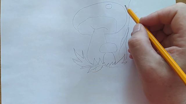 Рисуем грибочки с детьми! Белый гриб смотреть онлайн