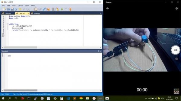ESP32, Micropython,  датчик DHT11