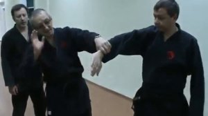 Джиу-Джитсу Феникс