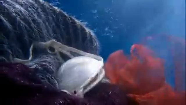 New Hotpoint Aqualtis Range | Buywise Of Banbury смотреть онлайн