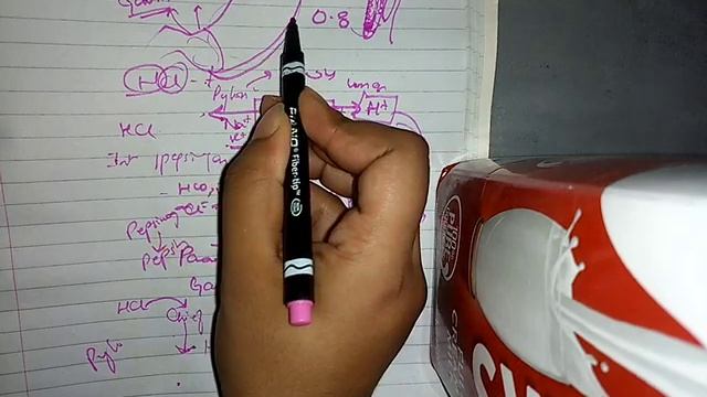 SECRETIONS of GIT ch 65 guyton fast review part 4 gastric secretions смотреть онлайн