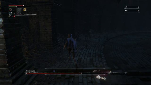 BloodBorne - Амигдала(Amygdala) в проклятых чашах смотреть онлайн