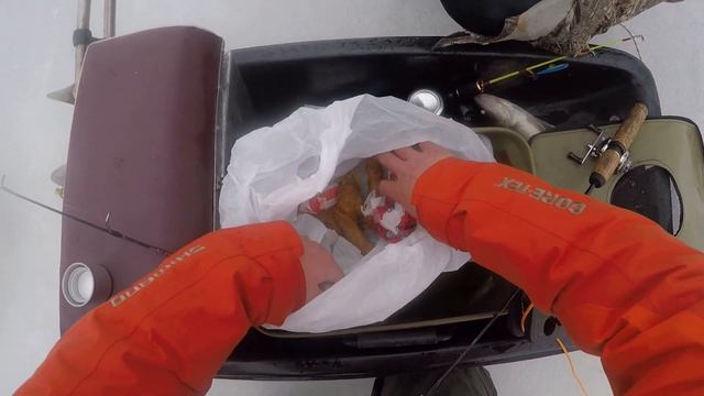 ВЕСЕННИЙ СУДАК НА РЫБИНСКОМ ВОДОХРАНИЛИЩЕ. ПОДВОДНЫЕ СЪЁМКИ смотреть онлайн