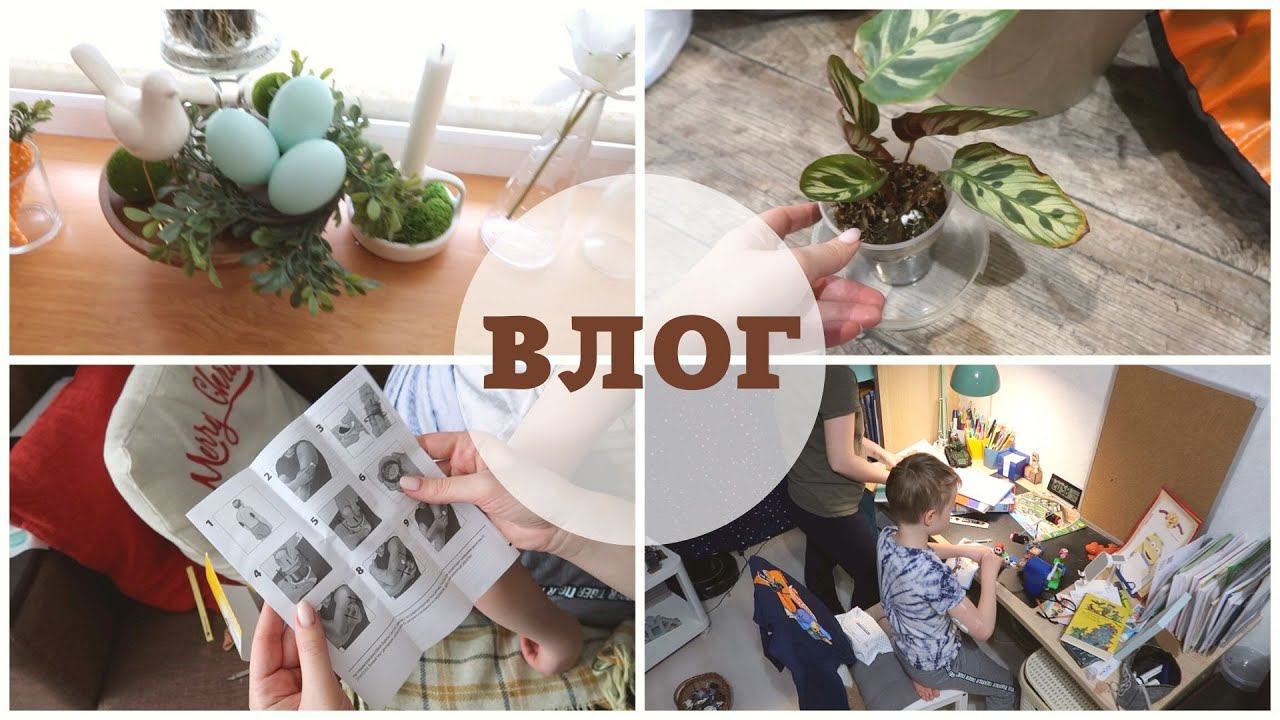 ВЛОГ: домашние дела, новые растения, ставим новую либру смотреть онлайн