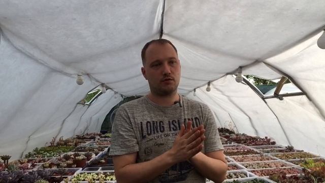 Как правильно ухаживать за Литопсами в домашних условиях? смотреть онлайн