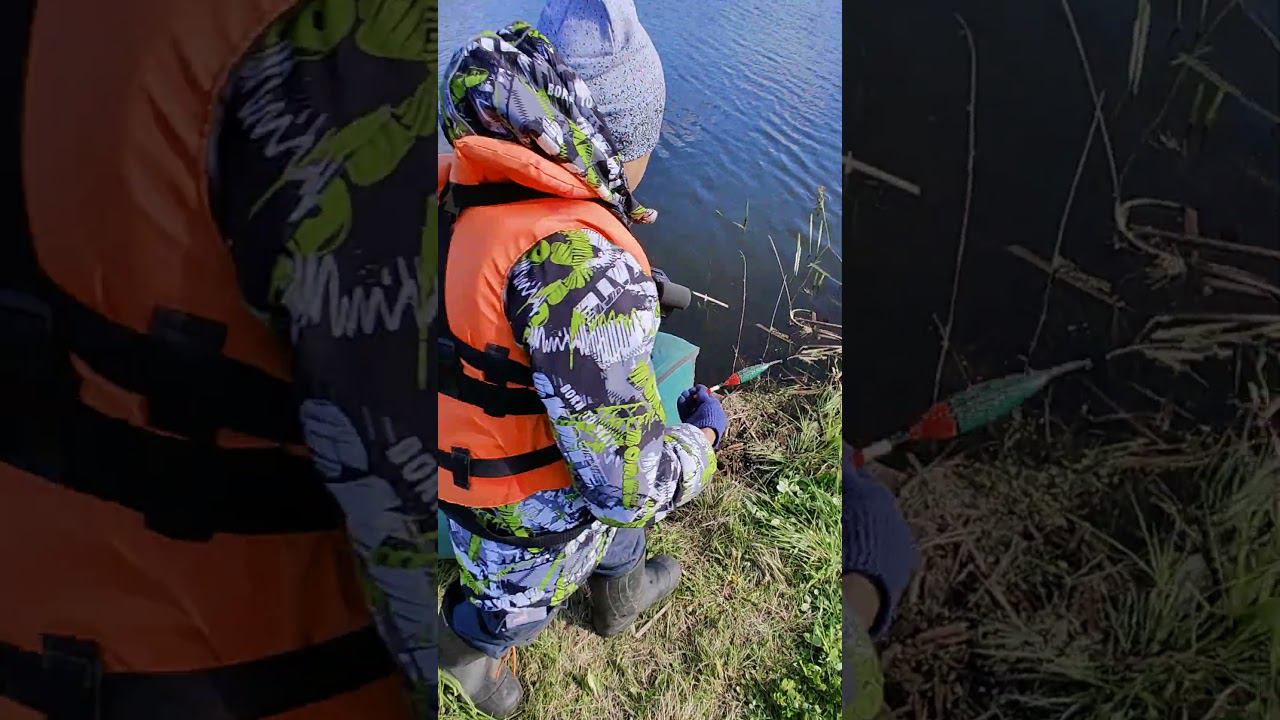 Икра на поплавке. #fishing #рыбалка #viral #икра #нерест #ротан #карась #спиннинг #top #рек #fish смотреть онлайн