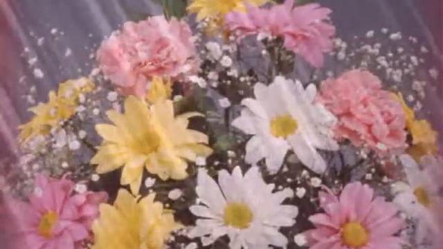 красивые футажи и фоны для монтажа смотреть онлайн