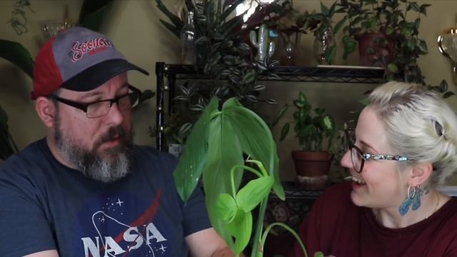 Uncommon and Extremely Rare Plants | Surprise Birthday Unboxing Part 2 смотреть онлайн