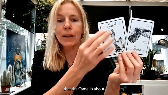 Messenger Animals Oracle psychic reading - About you & your psychic abilities! смотреть онлайн