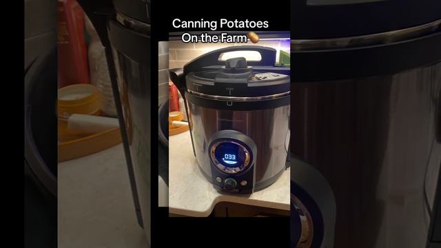 This was my first time! So thankful for neighbors who gave me 5 gallons of potatoes смотреть онлайн