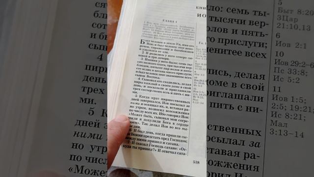 ч. 1.Книга Иова. 3 гл. : 25 ибо ужасное чего я ужасался то и постигло меня , так ли это??? смотреть онлайн
