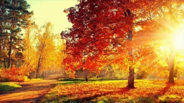 ПЕРЕХОД В ПЯТОЕ ИЗМЕРЕНИЕ (БОЖЕСТВЕННОЕ ПОДСОЗНАНИЕ) смотреть онлайн