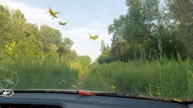 Отдых в Астрахани. Село Удачное. Рыбалка на берегу Ахтубы. Отпуск на природе вдали от людей и суеты смотреть онлайн