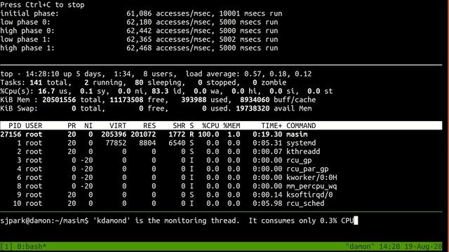 DAMON: a demo for the Kernel Summit 2020 смотреть онлайн