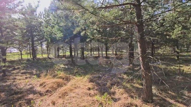 орбита 2, участок 116 смотреть онлайн