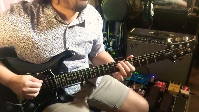 Fender Twin Reverb Tone Master / Envelope Filter from Strymon Mobius + PRS Custom 24 смотреть онлайн